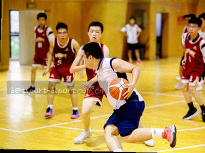 手机屏幕显示bsportapp登录界面，红色箭头标注反馈入口位置